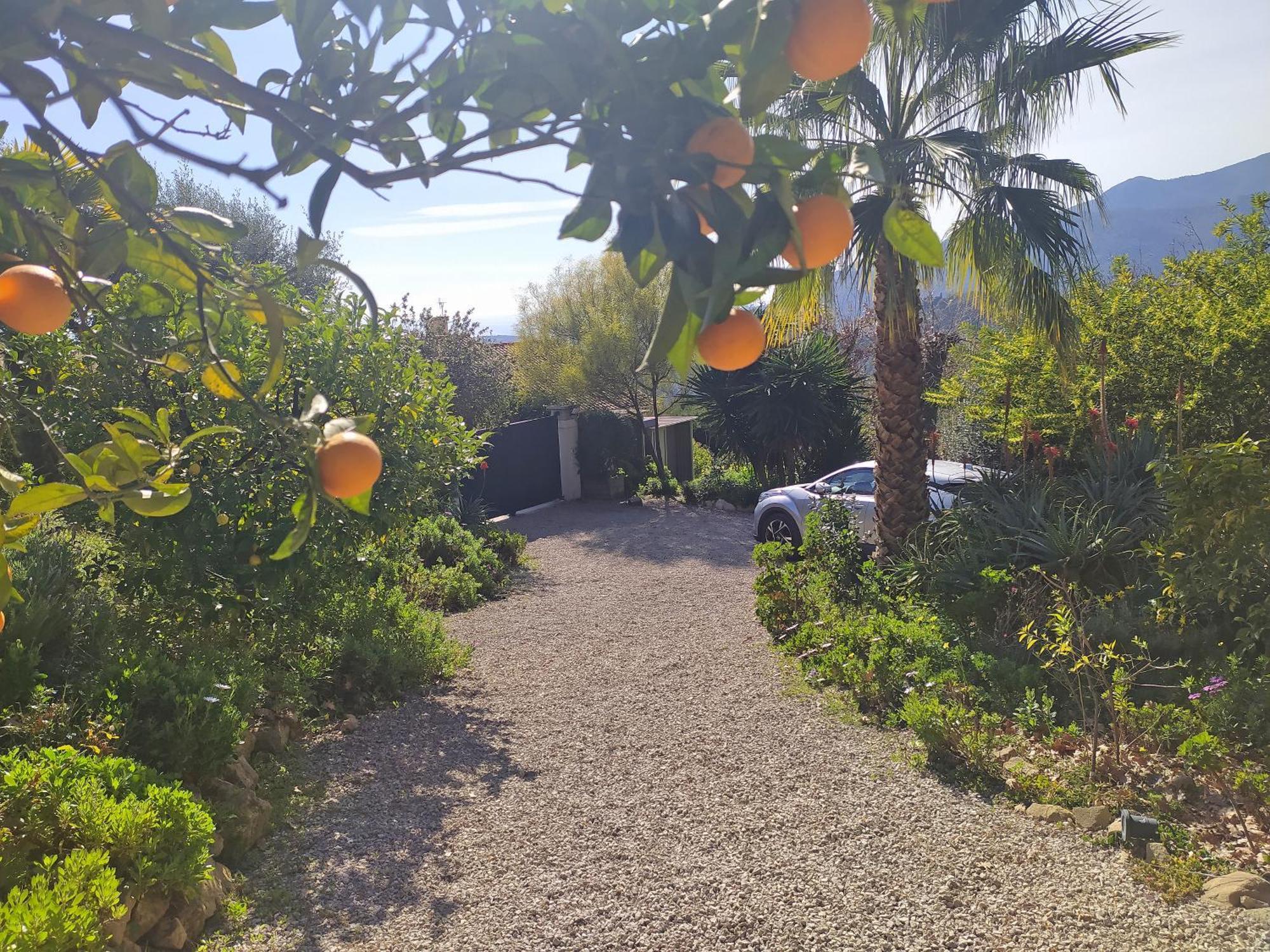 דירות מנטון 456 Chemin De La Pinede מראה חיצוני תמונה